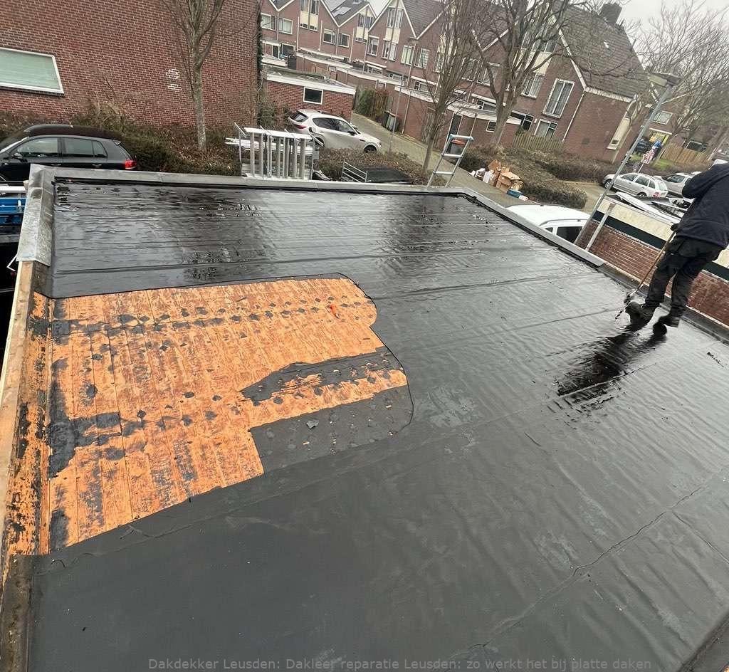 Dakleer Reparatie Leusden