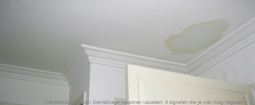 Daklekkage opsporen Leusden: 5 signalen die je niet mag negeren