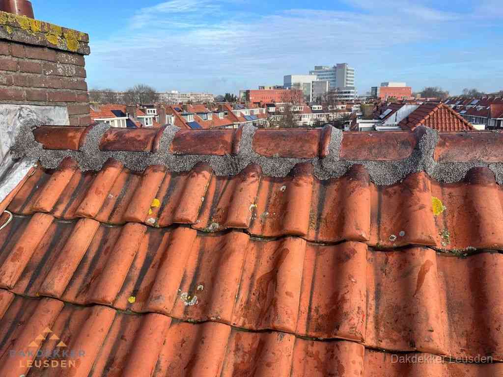 Leusden Daken Renoveren