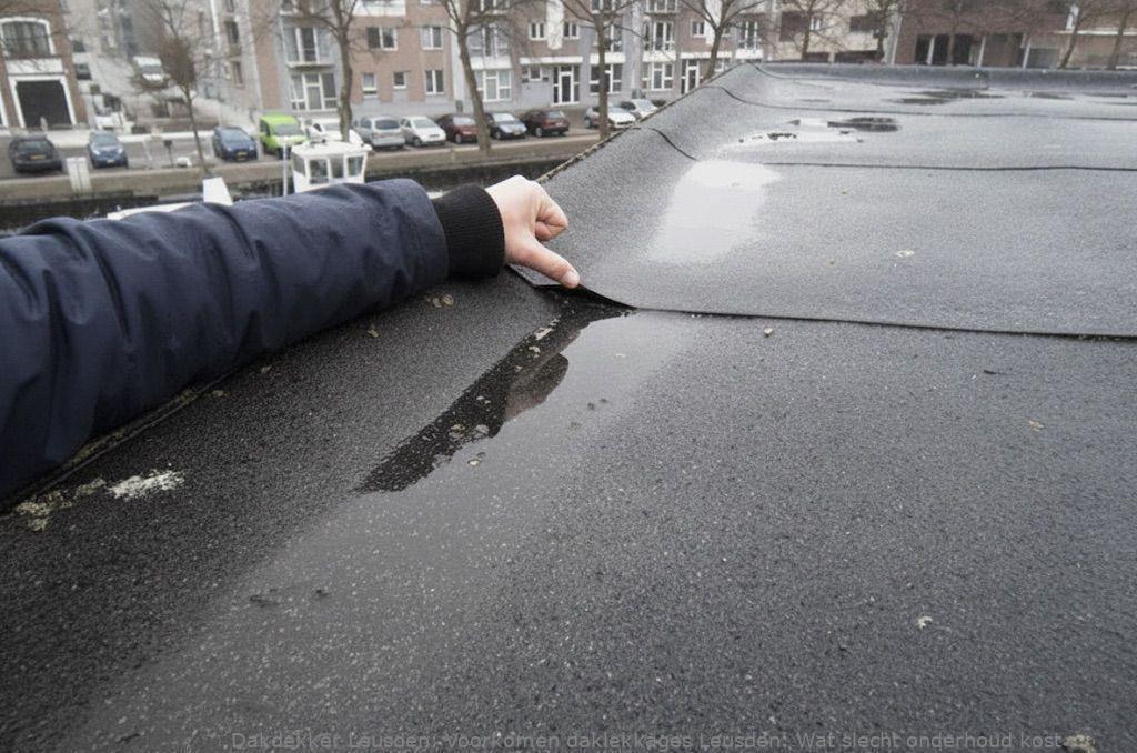 Voorkomen Daklekkages Leusden